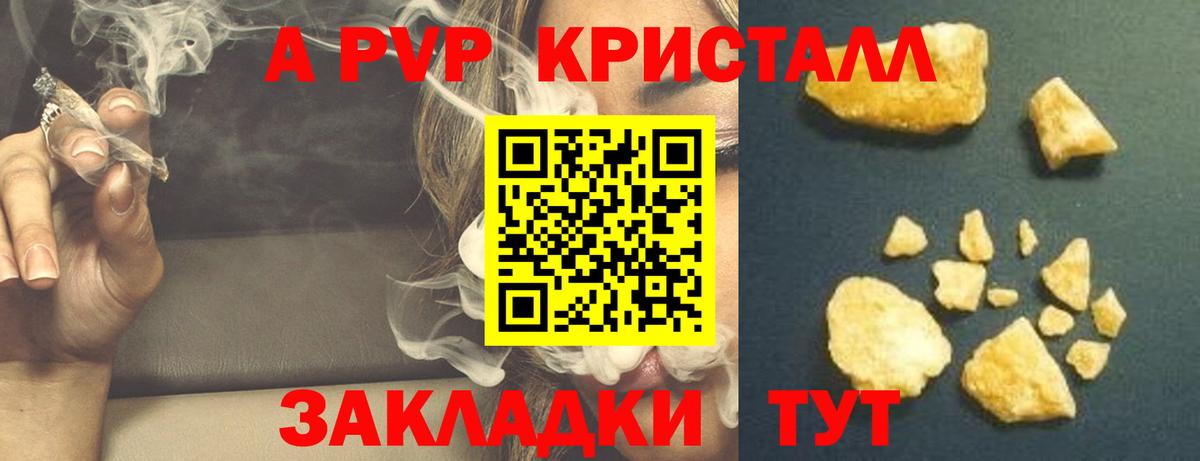A PVP СК Долгопрудный