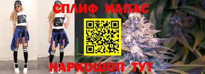 spice Можга